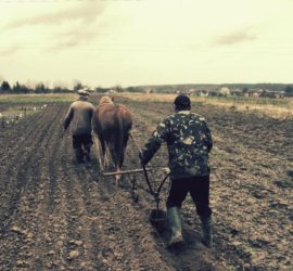 Astrogem, Geomancy, Geomantic, Divination, September, 2017, Horoscope, Astrogem Geomancy, Personal, Development, Productivity