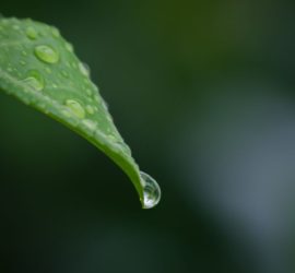 Astrogem, Geomancy, Geomantic, Divination, October, 2017, Horoscope, Astrogem Geomancy, Personal, Development, Productivity