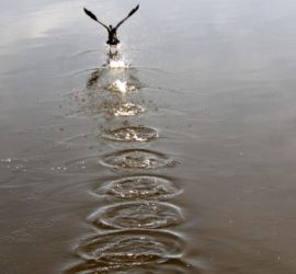 Astrogem, Geomancy, Geomantic, Divination, October, 2017, Horoscope, Astrogem Geomancy, Personal, Development, Productivity