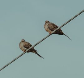 Astrogem, Geomancy, Geomantic, Divination, October, 2018, Horoscope, Astrogem Geomancy, Personal, Development, Productivity