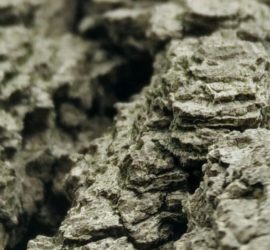 Astrogem, Geomancy, Geomantic, Divination, May, 2019, Horoscope, Astrogem Geomancy, Personal, Development, Productivity